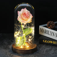 Charly – Eternal Rose in Glass Dome with Atmospheric LED Lighting