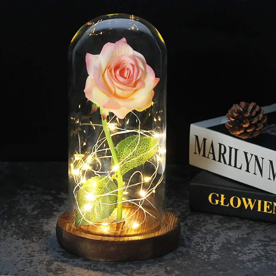 Charly – Eternal Rose in Glass Dome with Atmospheric LED Lighting