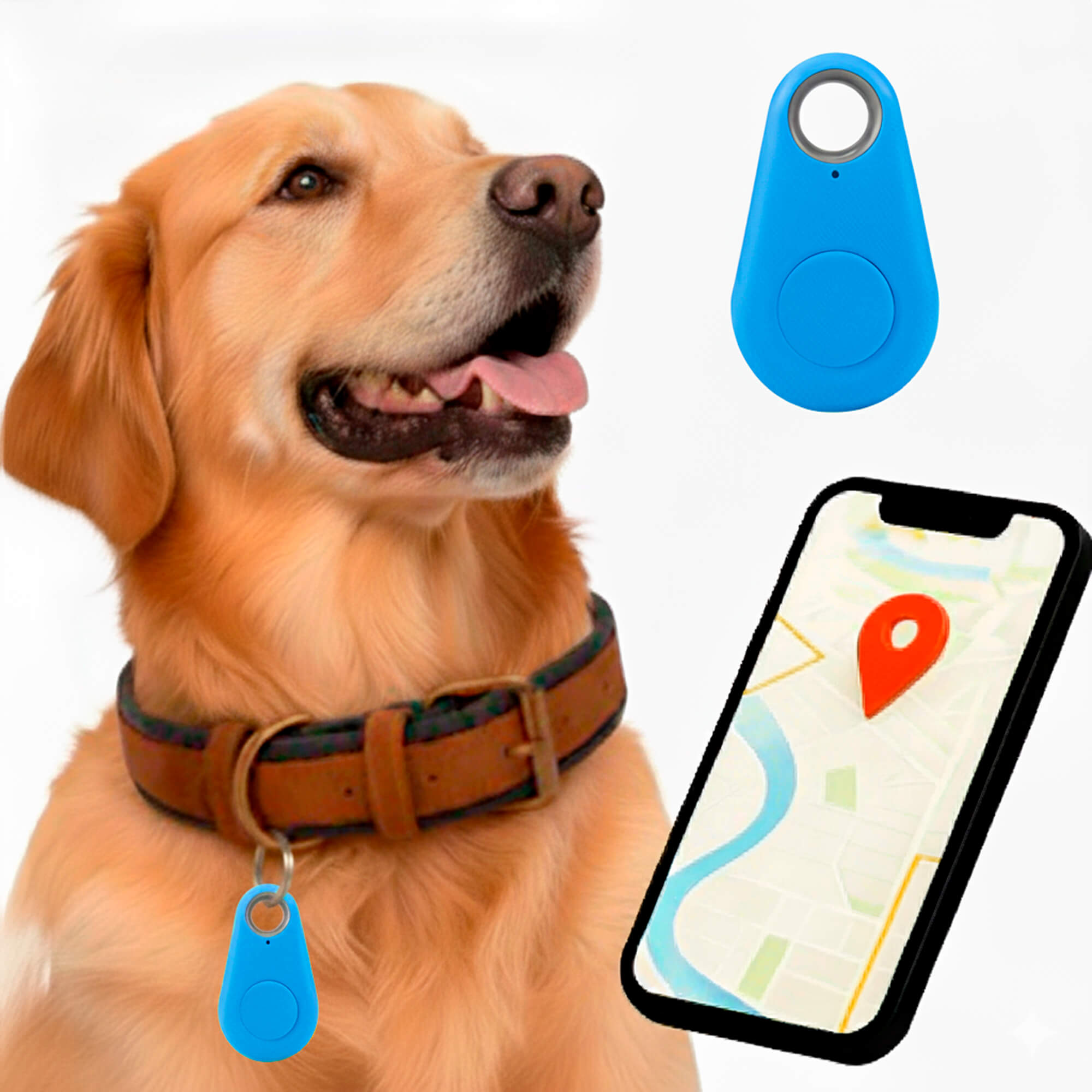 Charly | GPS Dog Tracking | Waterproof, Real-Time Location & Safety Zone Alerts for Outdoor Adventures