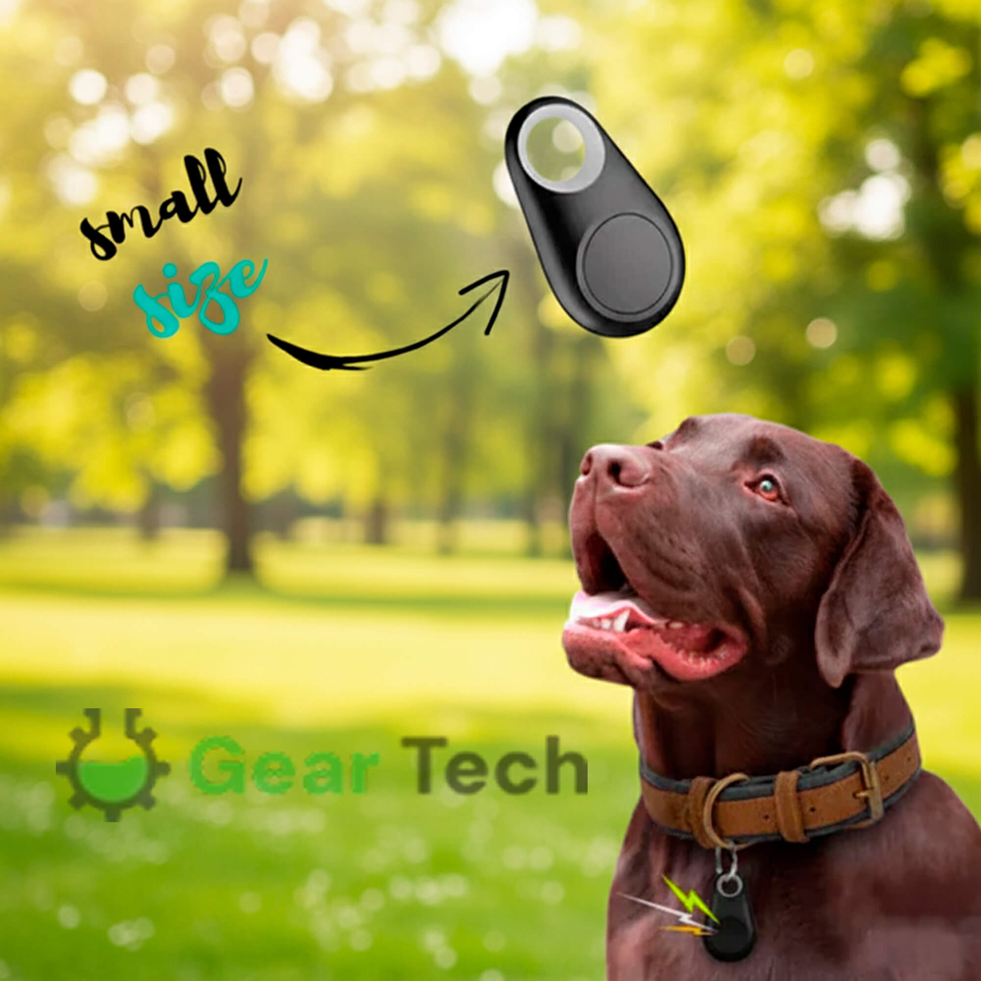 Sisica | GPS Dog Tracking | Waterproof, Real-Time Location & Safety Zone Alerts for Outdoor Adventures