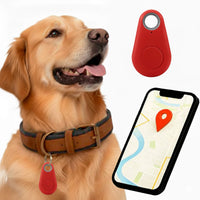 Charly | GPS Dog Tracking | Waterproof, Real-Time Location & Safety Zone Alerts for Outdoor Adventures