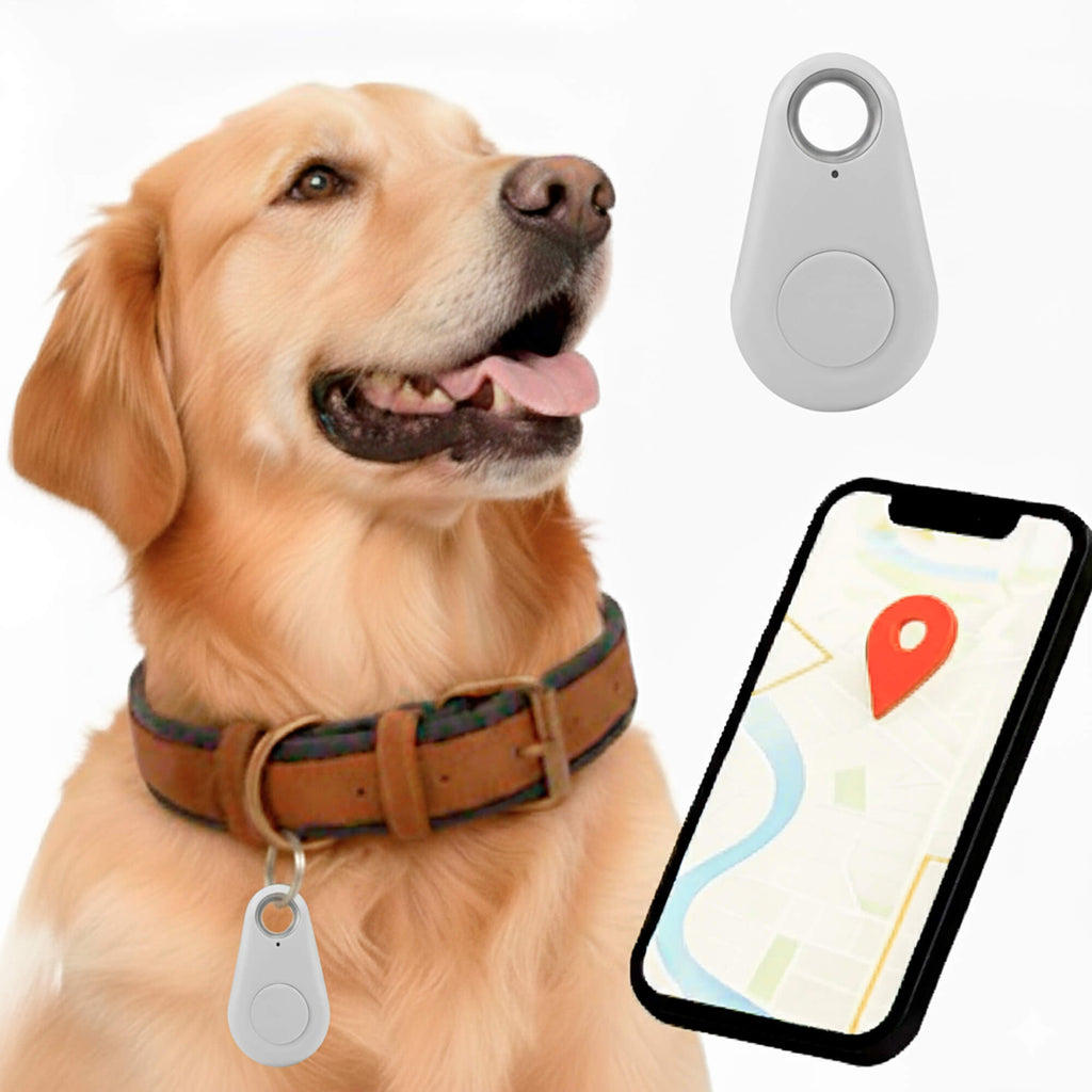 Charly | GPS Dog Tracking | Waterproof, Real-Time Location & Safety Zone Alerts for Outdoor Adventures