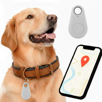 Charly | GPS Dog Tracking | Waterproof, Real-Time Location & Safety Zone Alerts for Outdoor Adventures