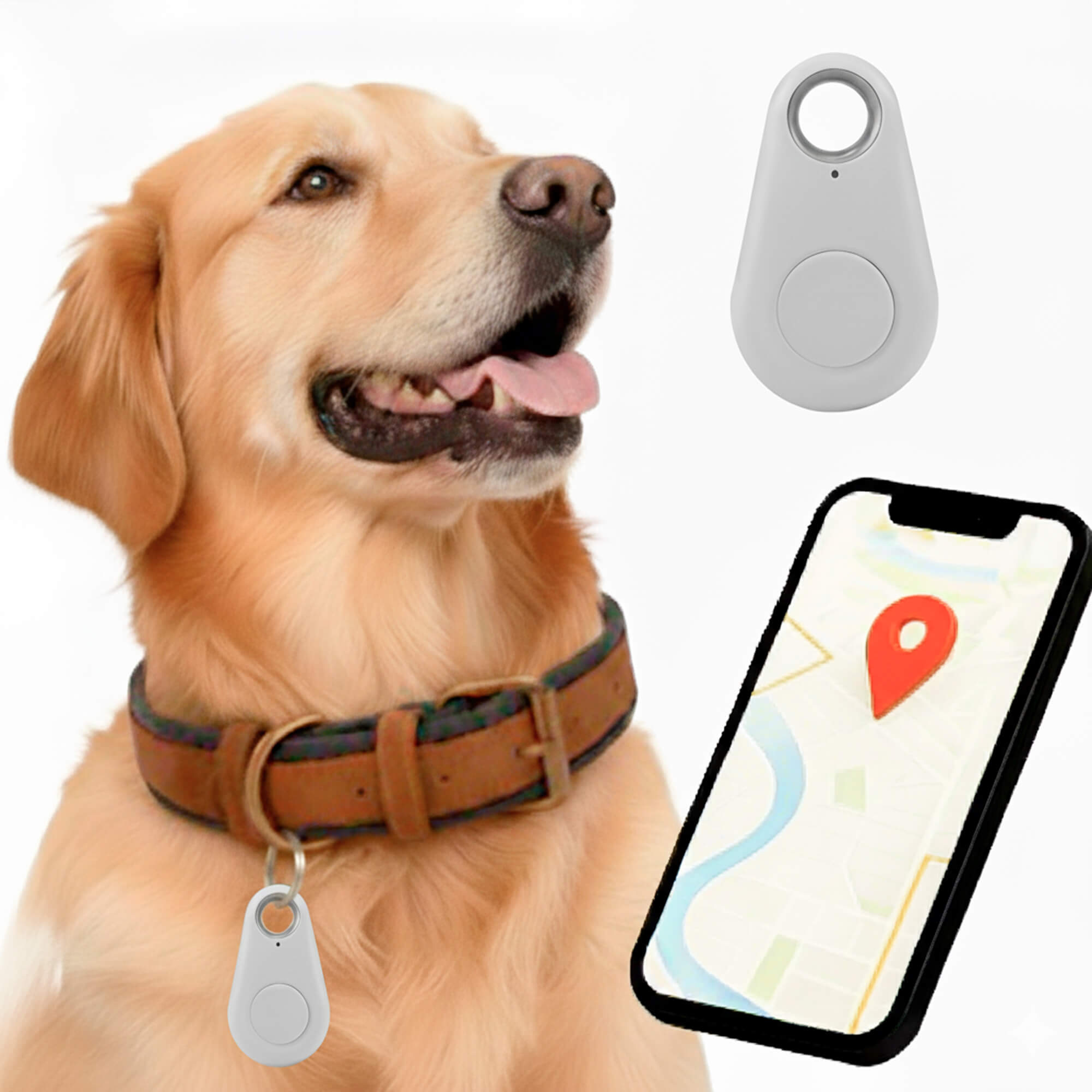 Charly | GPS Dog Tracking | Waterproof, Real-Time Location & Safety Zone Alerts for Outdoor Adventures