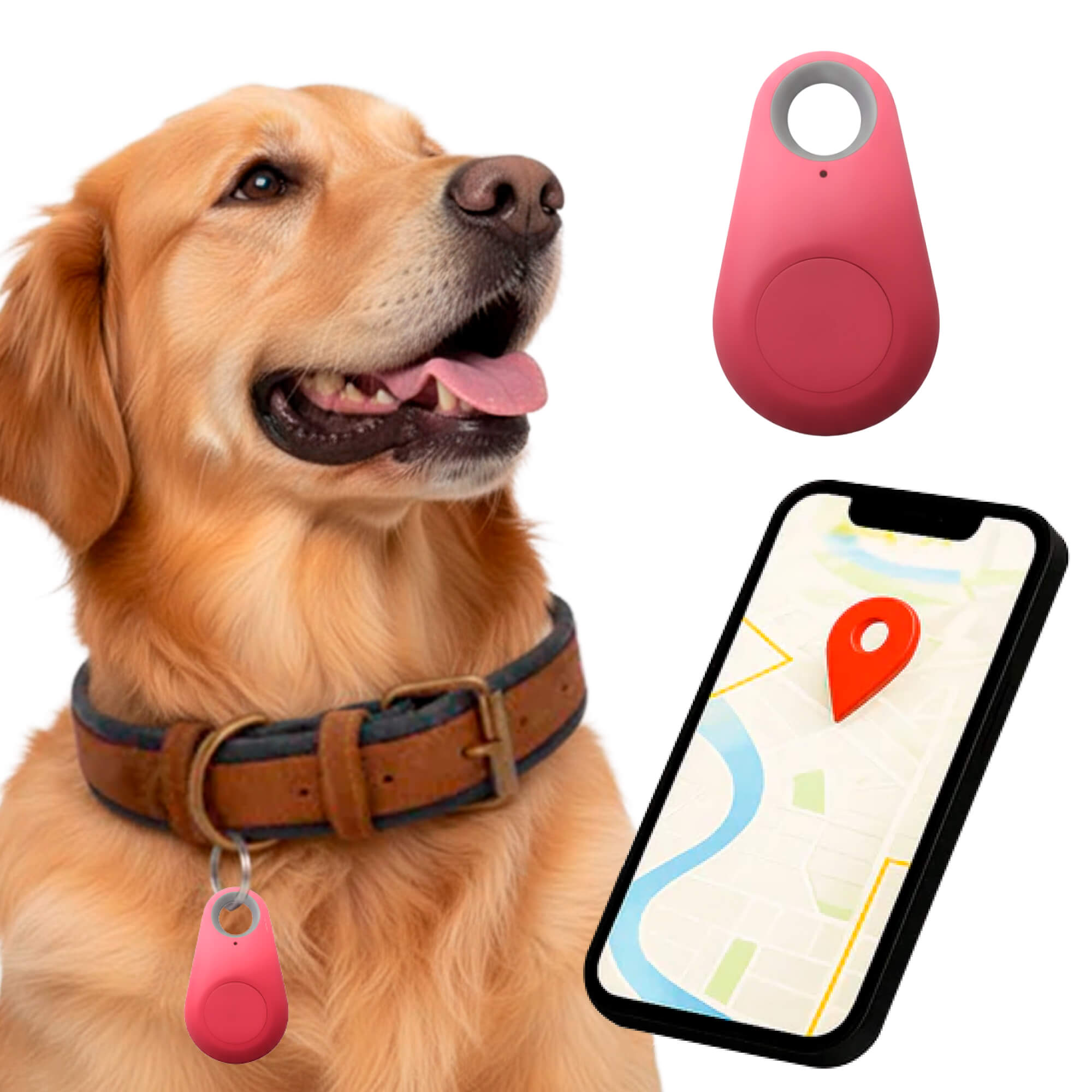 Sisica | GPS Dog Tracking | Waterproof, Real-Time Location & Safety Zone Alerts for Outdoor Adventures