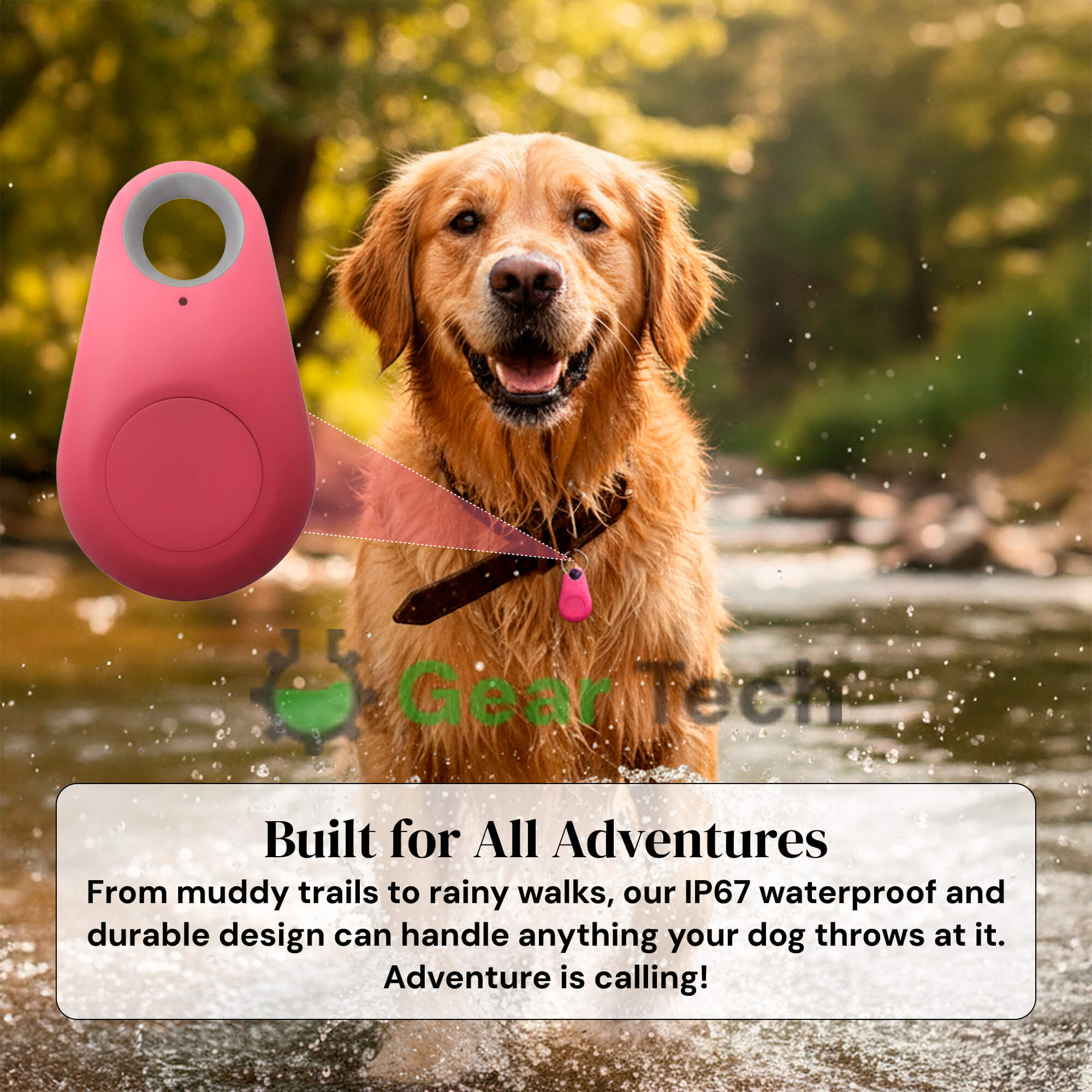 Sisica | GPS Dog Tracking | Waterproof, Real-Time Location & Safety Zone Alerts for Outdoor Adventures