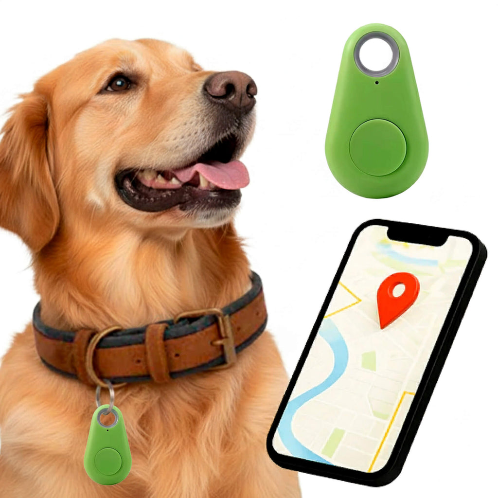 Sisica | GPS Dog Tracking | Waterproof, Real-Time Location & Safety Zone Alerts for Outdoor Adventures