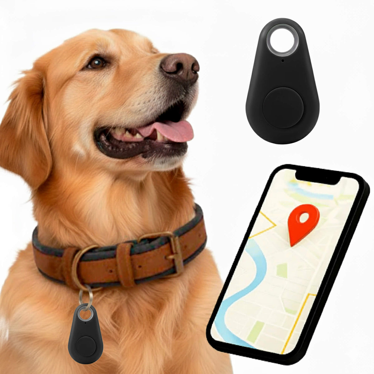 Charly | GPS Dog Tracking | Waterproof, Real-Time Location & Safety Zone Alerts for Outdoor Adventures