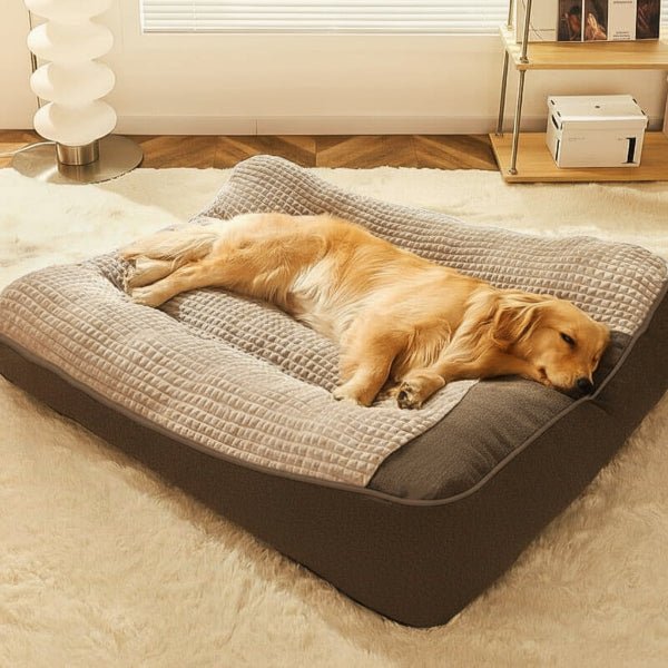 Charly | Large Scratch-Resistant Dog Bed with Orthopedic Back Support