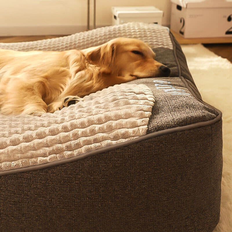 Sisica | Large Scratch-Resistant Dog Bed with Orthopedic Back Support