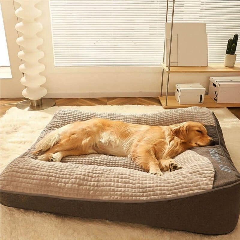 Sisica | Large Scratch-Resistant Dog Bed with Orthopedic Back Support