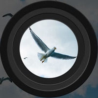 Sisica | Long Range Night Vision Binoculars