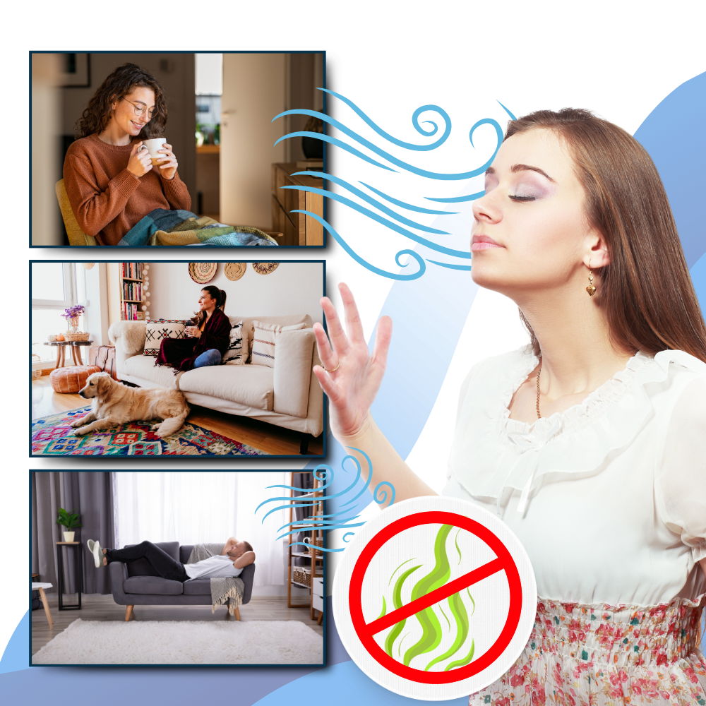 Sisica | Multi-Surface UV Disinfectant Bulb – Strongest Bed Bug Killer for Home & Travel Use