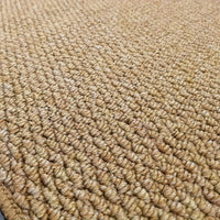 Sisica | Absorbent Entryway Mat | Machine Washable, Non-Slip