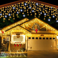 Charly | Outdoor LED Christmas Decoration Lights