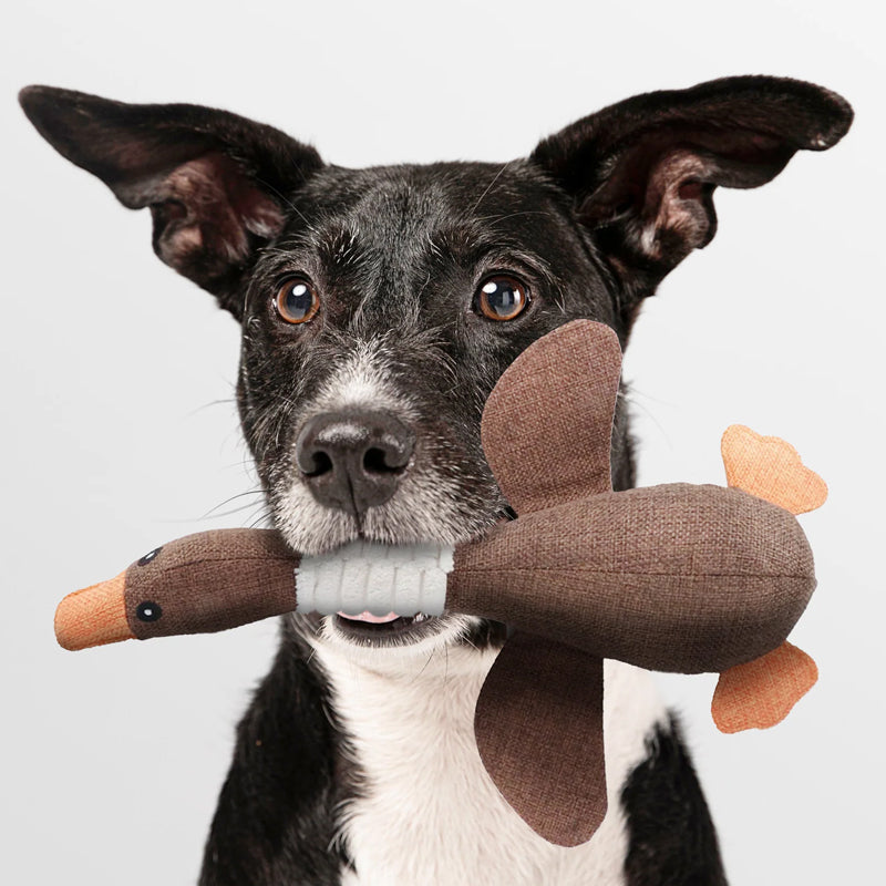 Sisica | Plush Duck Dog Toy with Squeaker