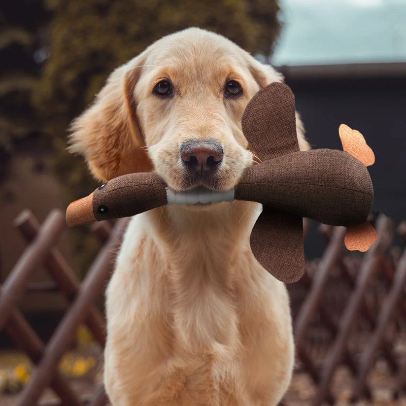 Sisica | Plush Duck Dog Toy with Squeaker