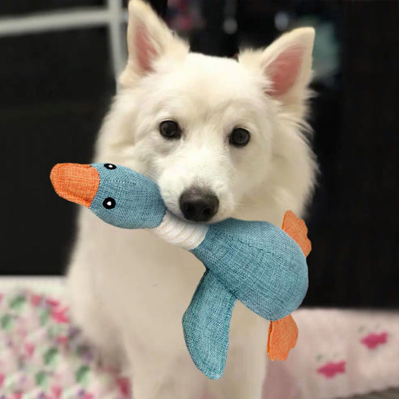Charly | Plush Duck Dog Toy with Squeaker