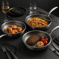 Sisica | PREMIUM PAN - High quality titanium pan without coating for all cooktops