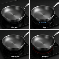 Sisica | PREMIUM PAN - High quality titanium pan without coating for all cooktops