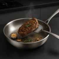 Sisica | PREMIUM PAN - High quality titanium pan without coating for all cooktops