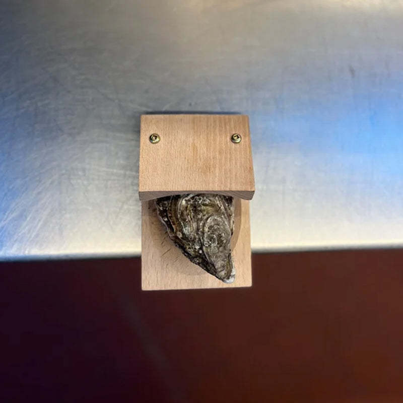 Sisica | Premium wood handle oyster shell opener clamp