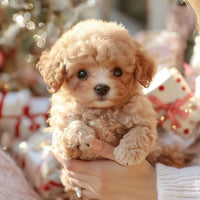 Sisica | Realistic Dog for Kids that Responds to Touch