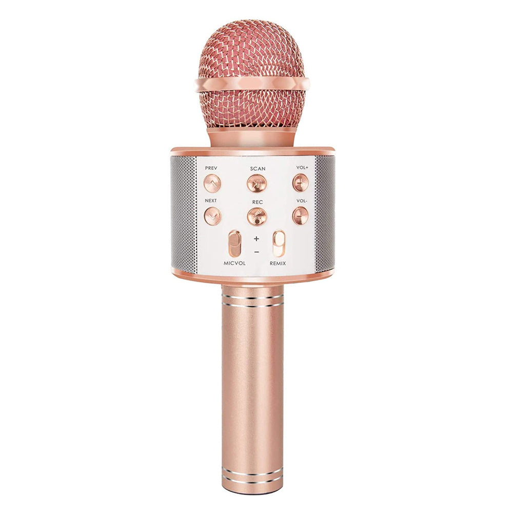 Charly | Rechargeable Wireless Bluetooth Karaoke Microphone