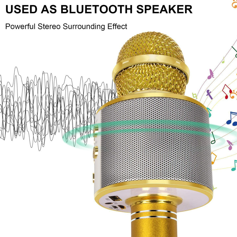 Sisica | Portable Wireless Bluetooth Karaoke Mic