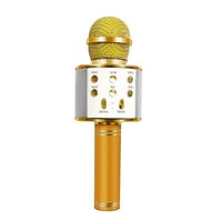 Charly | Rechargeable Wireless Bluetooth Karaoke Microphone