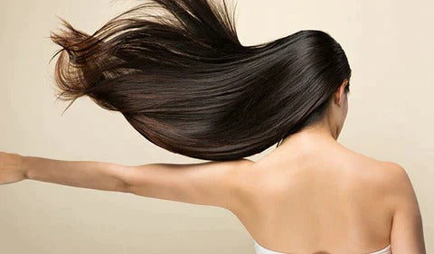 Sisica | Ultra-Light Professional Hair Dryer | High-Speed Ionic Technology Salon Hair Dryer