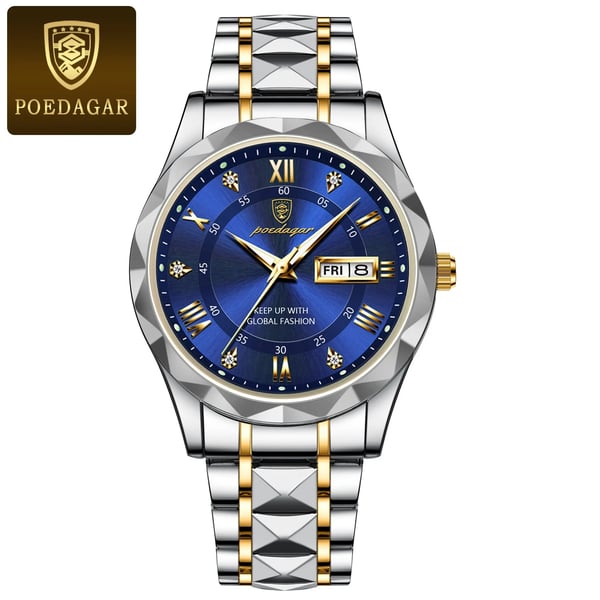 Sisica | Waterproof Luxury Men's Wristwatch by the Top Brand with Luminous Function