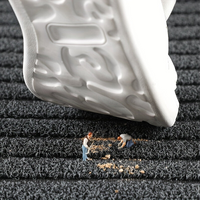 Sisica | Weatherproof Doormat