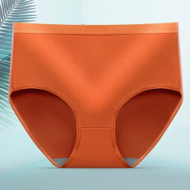 Charly | Women's Leak Protection Briefs Seamless Comfort