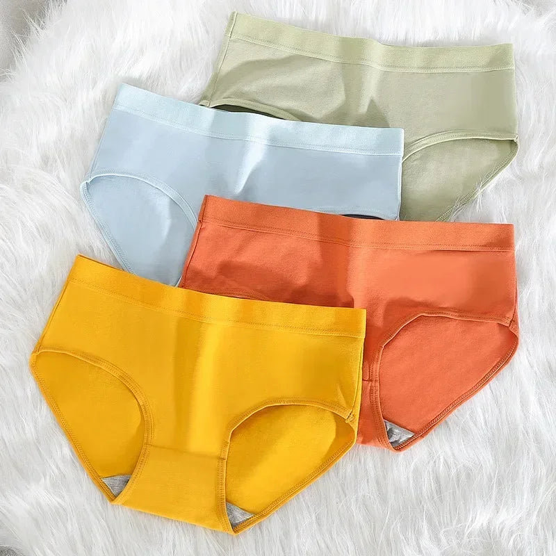 Sisica | Women's Leak Protection Briefs Seamless Comfort