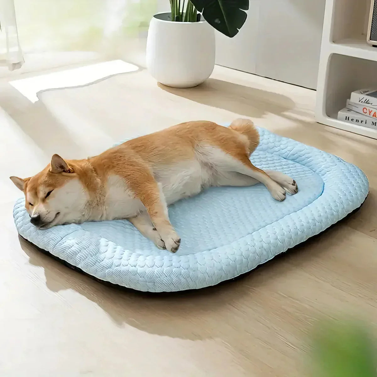 ChillPaws • Refreshing Pet Mat for Warm Weather