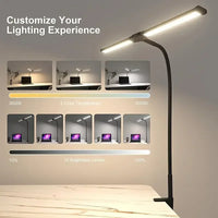 Double-Head Dimmable LED Desk Lamp with Clamp for Home Office