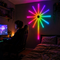 Firework LED Lights