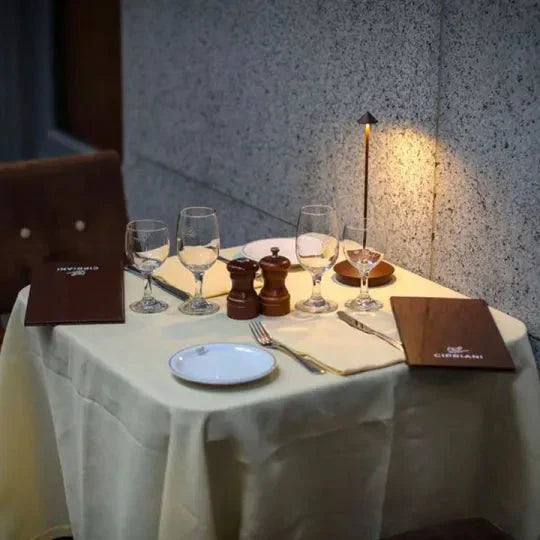 Cordless LED Table Lamp - Dimmable & Waterproof
