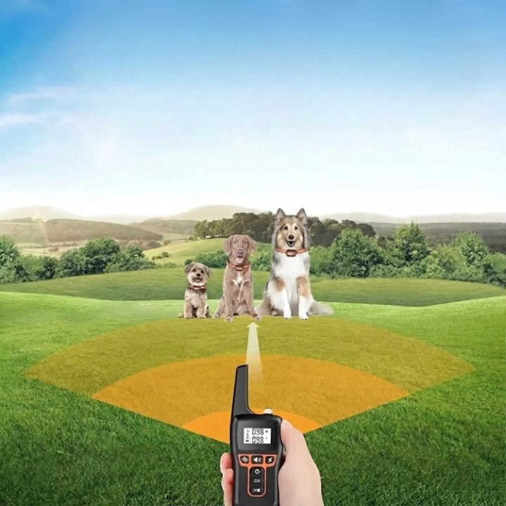 Rechargeable IP67 Waterproof Dog Training Collar with 1000m Range and 3 Modes