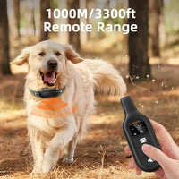 Rechargeable Waterproof Dog Training Collar with Remote