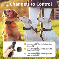 Rechargeable Waterproof Dog Training Collar with Remote