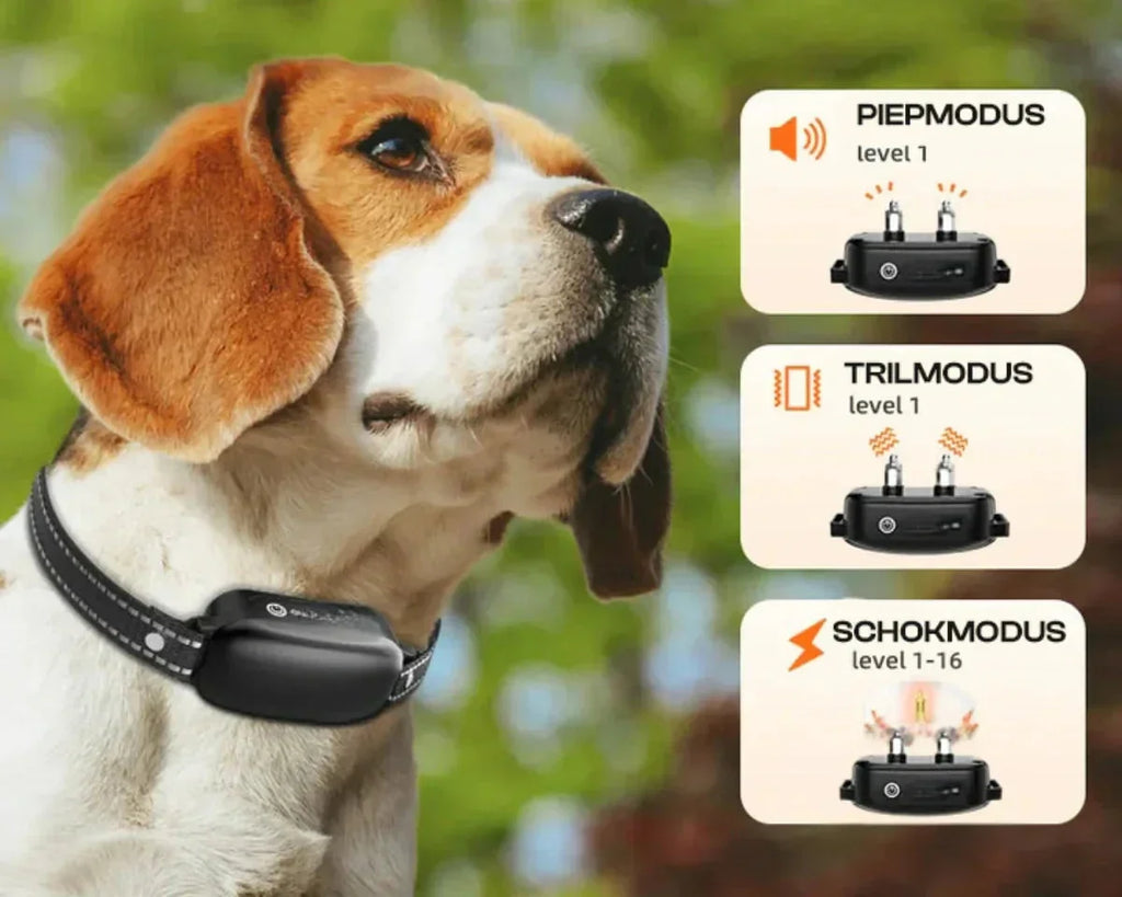 Dog Training Collar - Waterproof Remote E-Collar 1000m Range