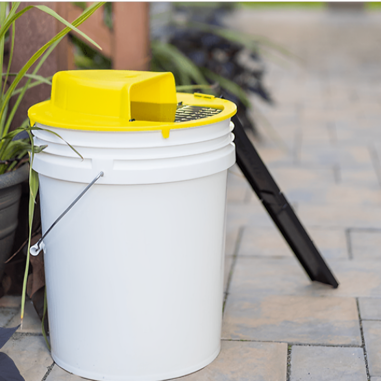 Automatic Bucket Rodent Trap
