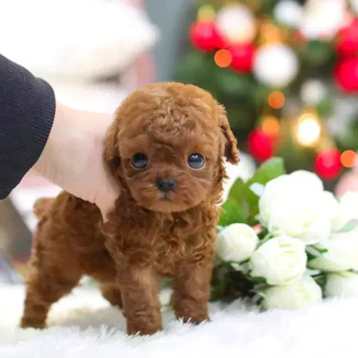 RoboDog™ | Interactive Robot Puppy with Life-like Reactions