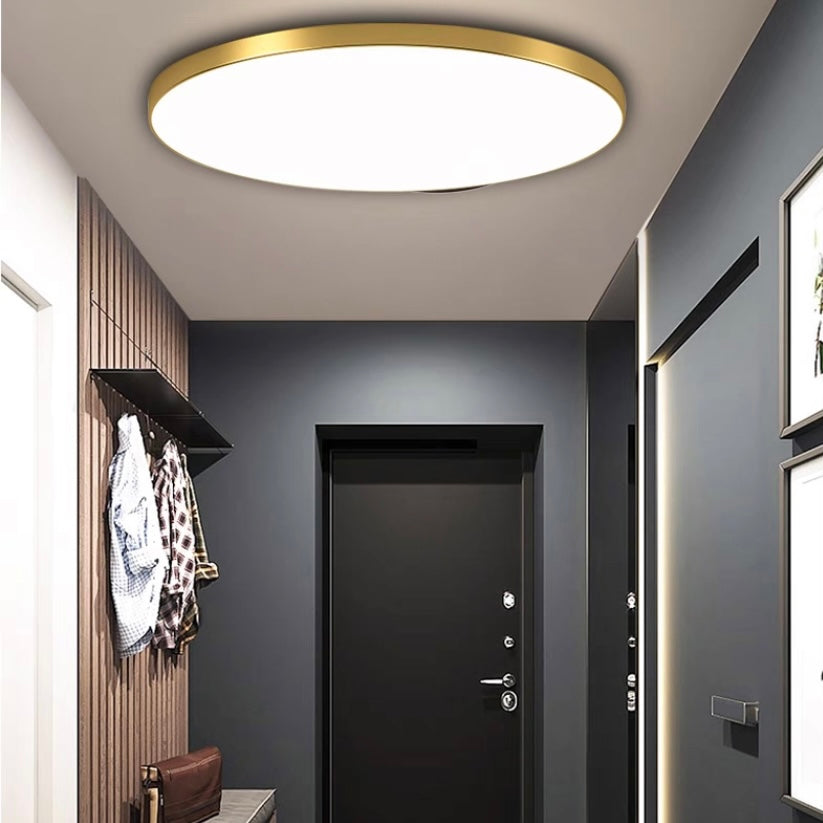 Round LED Modern Flush Fixture