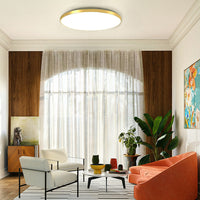 Round LED Modern Flush Fixture