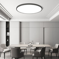 Round LED Modern Flush Fixture