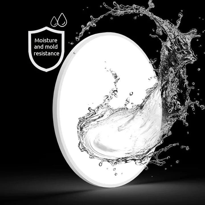 Round LED Modern Flush Fixture