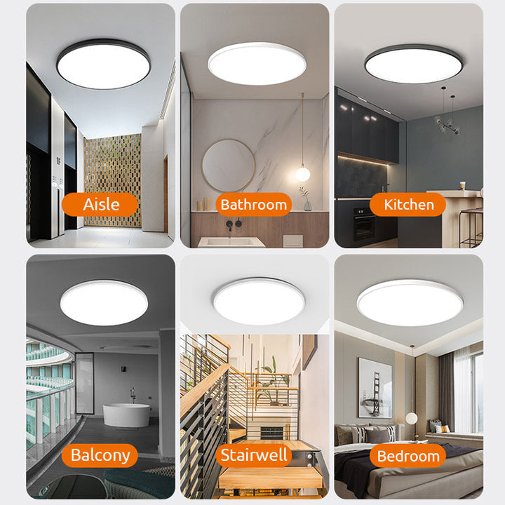 Round LED Modern Flush Fixture